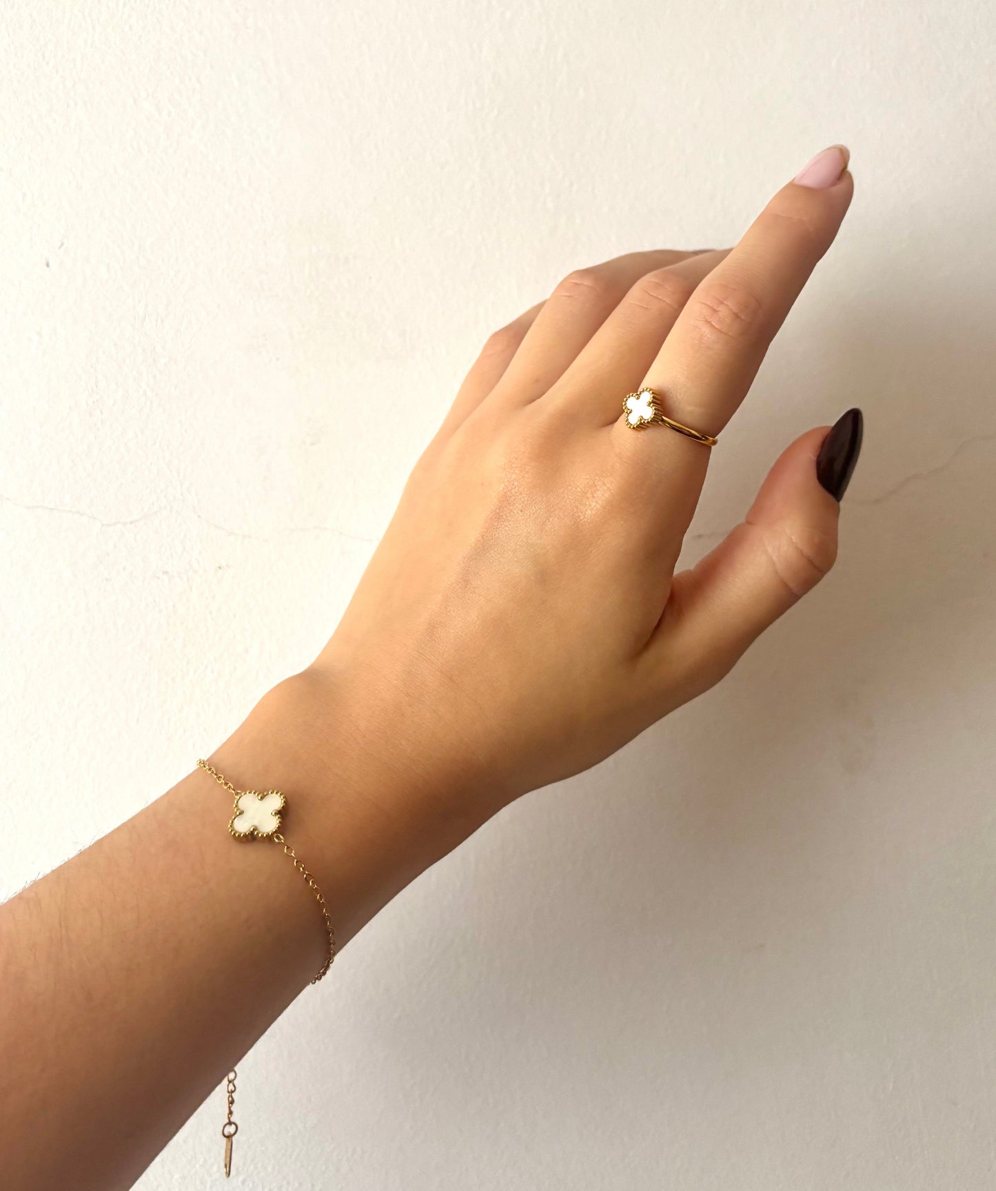 Conjunto Fioréa